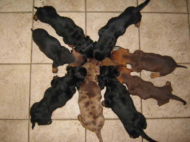 Hoi, Ook ik (Gijs) ben eens klein geweest