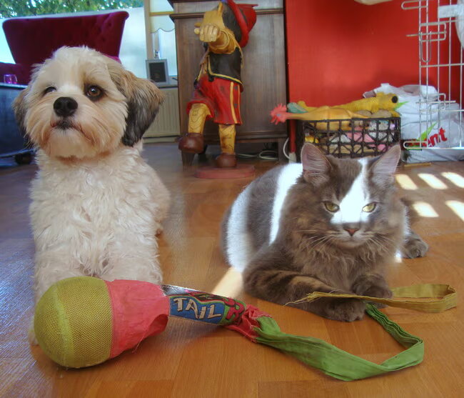 Sammy met grote vriend Wollie de Wolf