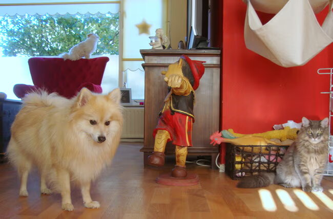 Cloudje en Wolf