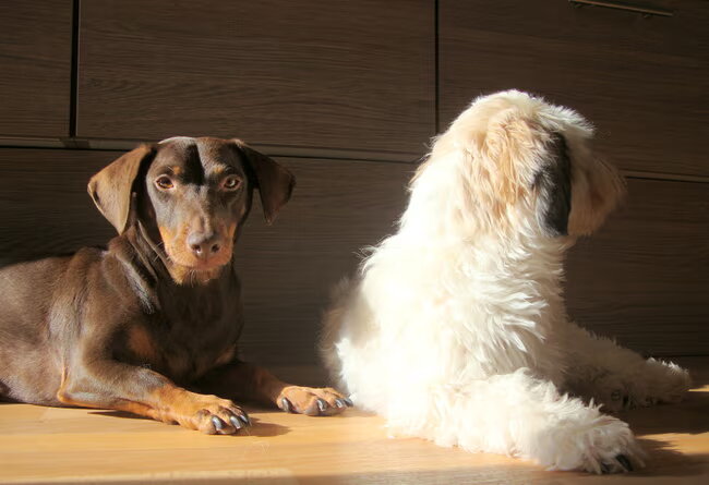 Camila en Sammy