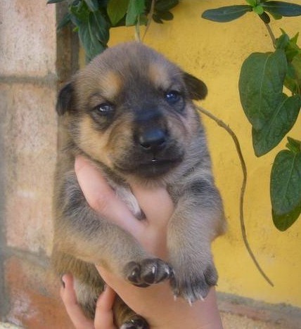 Baby zus Krystal(overleden na een knoopje in de darmen,operatie is mislukt).