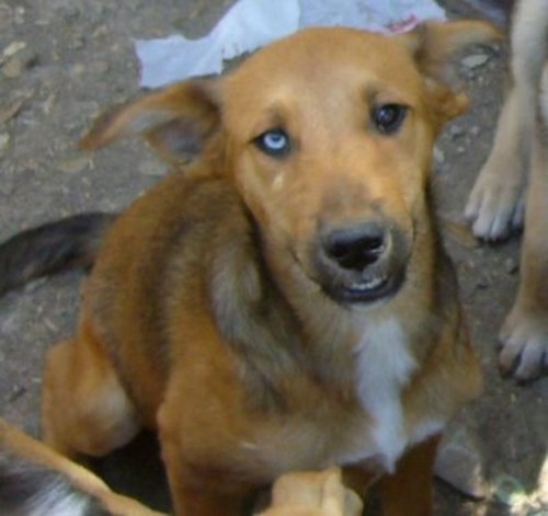 Mila met gek giegeltje.