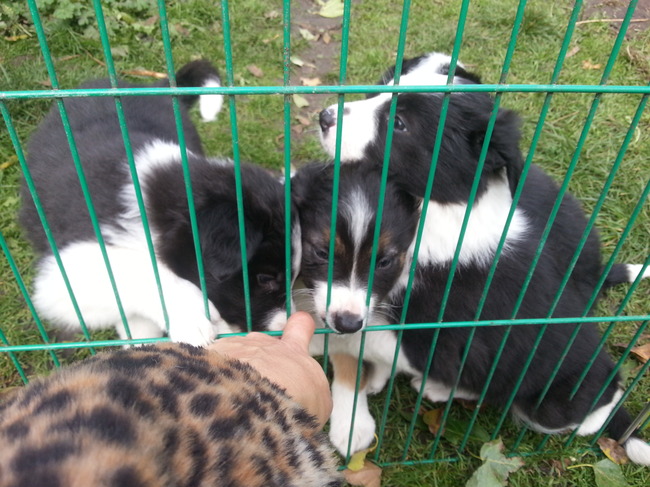 En toen was ik verliefd :-D