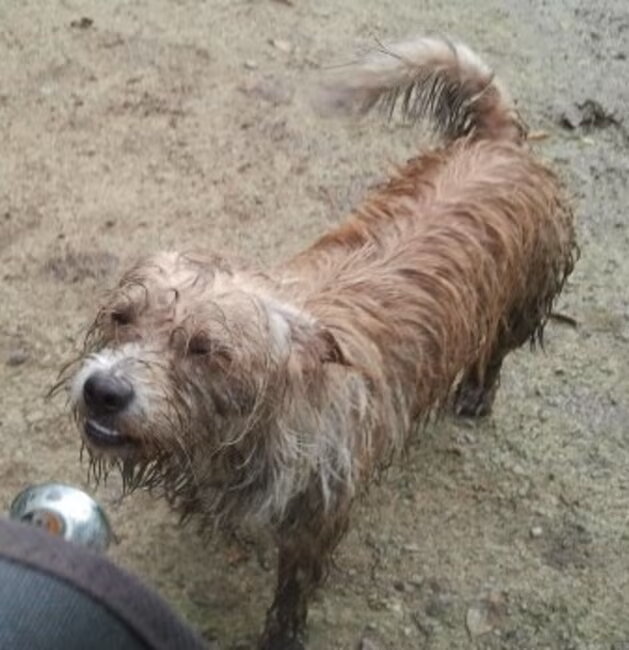 Beau Heerlijk spelen in het door regen overspoelde park....