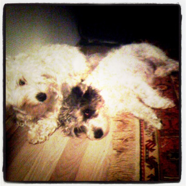 Papa Dinki en mama Pani in love <3