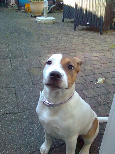 ken jij dit ook met je oren?