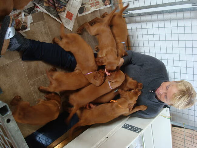 Claudia met pups 2e nest