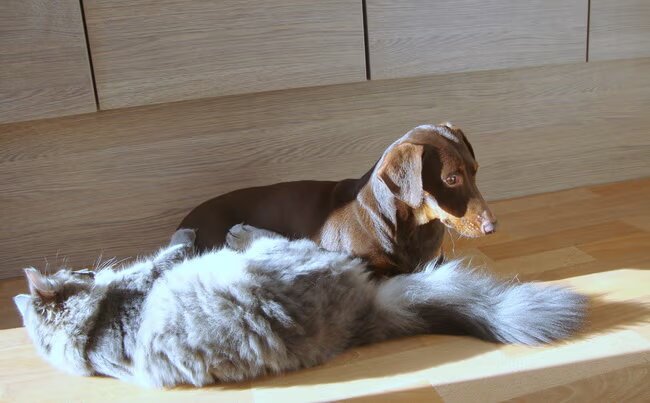 Zo lief met elkaar