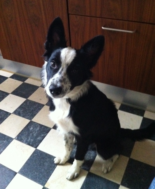 Ken ik jou?? :) # 5 maanden