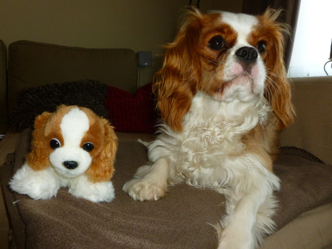 Ella met een look-a-like ;-)