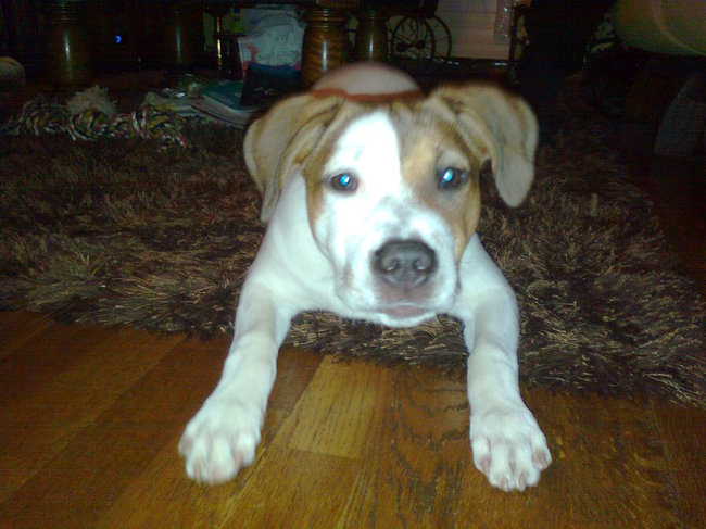 ik heb maar 5 seconden nodig om je hart te stelen