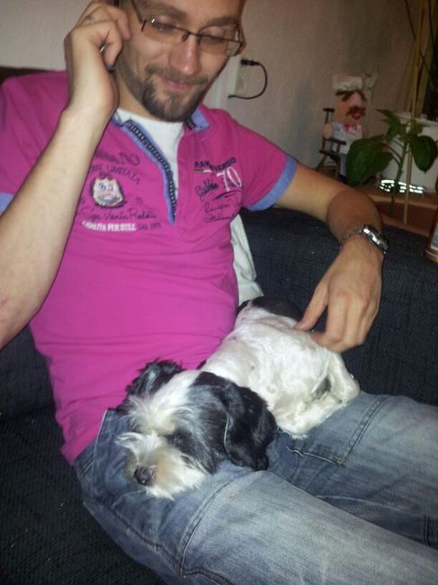 Heerlijk bij de baas op schoot, lekker slapen