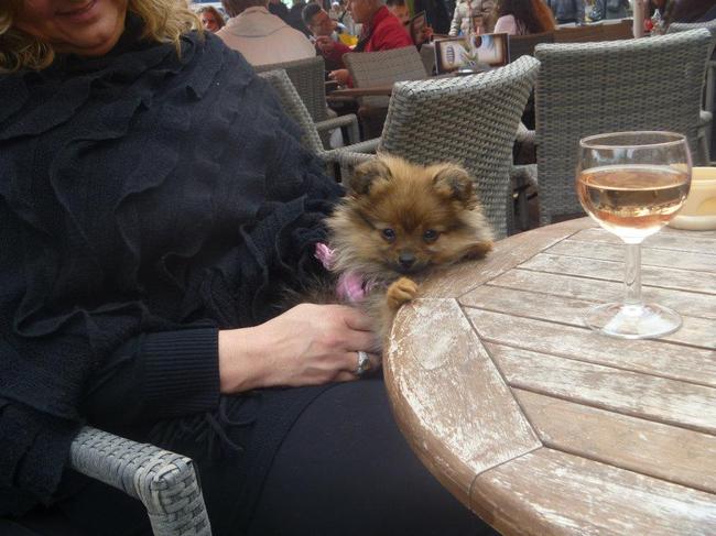 pfoe dat was een lange dag, even rusten op het terras en dan terug naar het huisje.