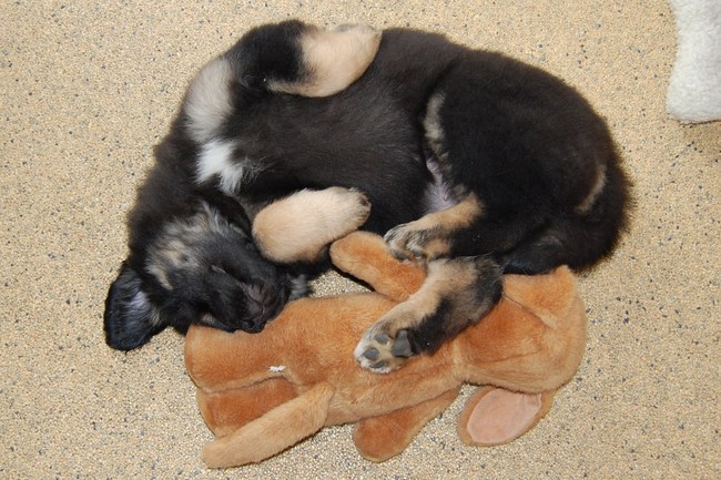 Twee knuffelbeertjes!
