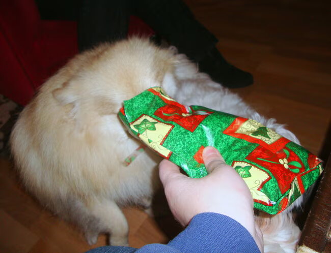 Cloudy ook cadeautje uitpakken