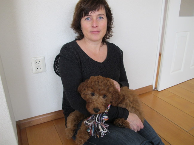 Ben de trotse eigenaar van de liefste mango.Ze wordt steeds groter,is superzacht door het borstelen en kammen en daardoor om op te vreten!!!