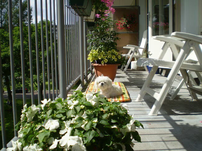 M,N LIEF TUSSEN DE BLOEMEN, IN DE ZONNNNNNNNNNN