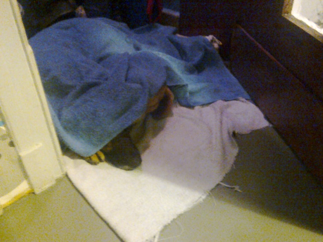 Verstoppen voor het vuurwerk