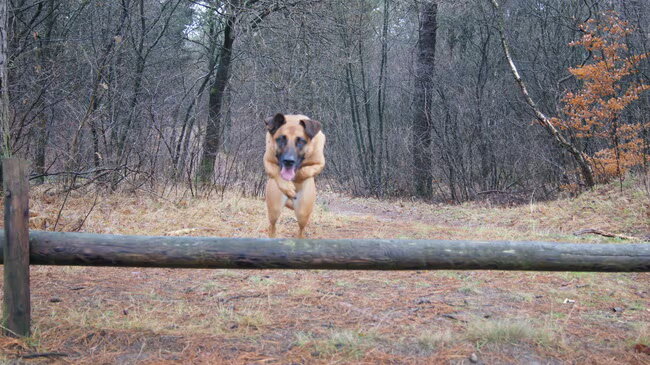 Jump