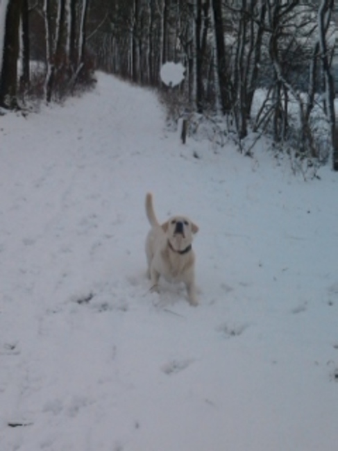 Ik vang hem, ik vang hem !!