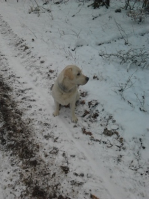 even om me heen kijken hoor, momentje