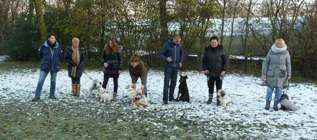 Examen 8-12-2012
op rij