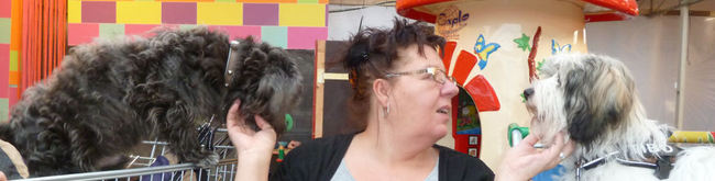 Even naar het tuincentrum, wachten op de uitslag van het puppy examen, spannend...
8-12-2012