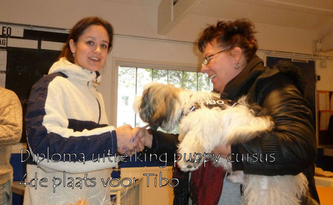 8-12-2012 Geslaagd, joehoeeee. De eerste hond zonder min punten op zijn lijst en het de eerste van de gezelschaps honden. Ben zo trots op mijn kanjer....