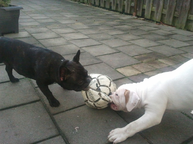 Lekker stoeien met z'n vriendin.