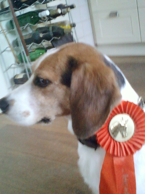 Met mijn prijs(vanhetpaardrijden)