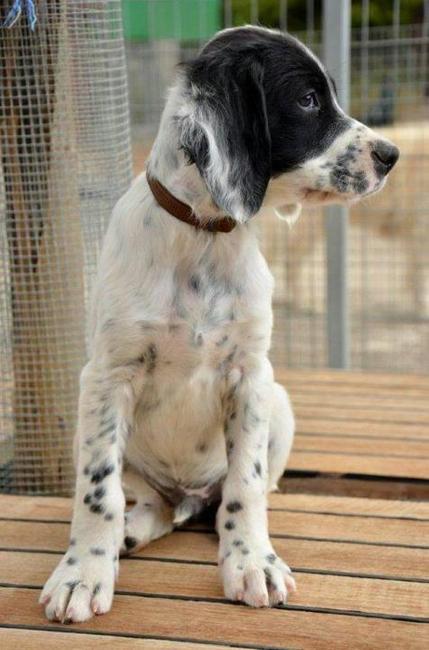 En toen ik deze foto zag was ik helemaal verkocht!