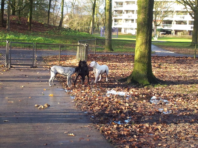 lekker met mijn vrienden