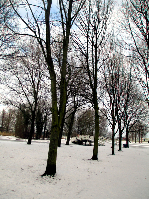24-01-2013 winter in Noordsterpark