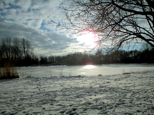 24-01-2013 winter in Noordsterpark