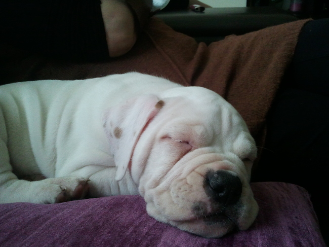 ben ik zooooooo klein geweest