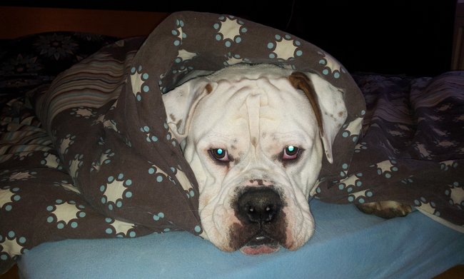 ssst niks vertellen stiekem in bed gekropen