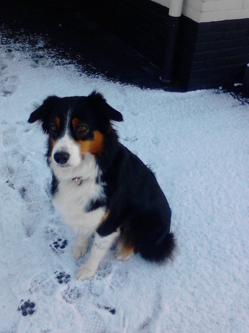 In the snow.