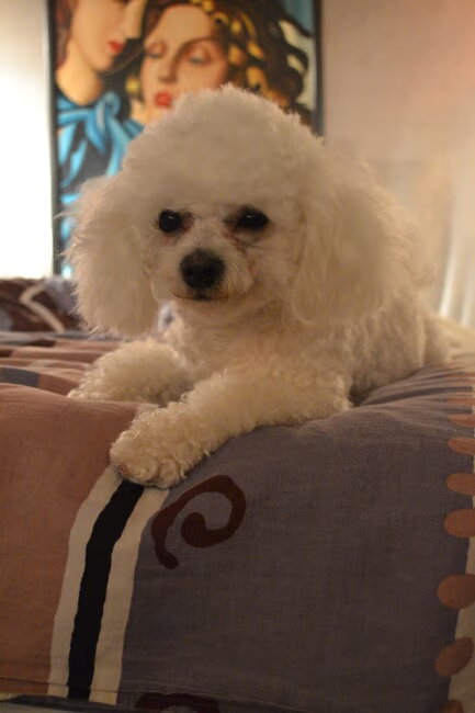 my cute boy Kevin