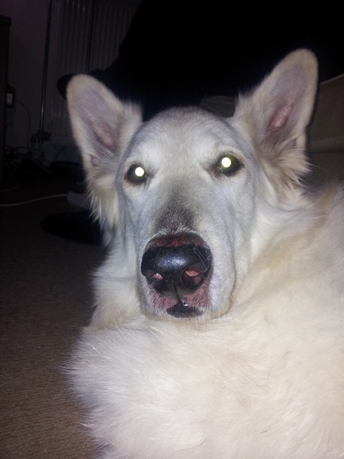 Klik om te sluiten, klik en sleep om te verplaatsen en gebruik de pijltjestoetsen om te navigeren