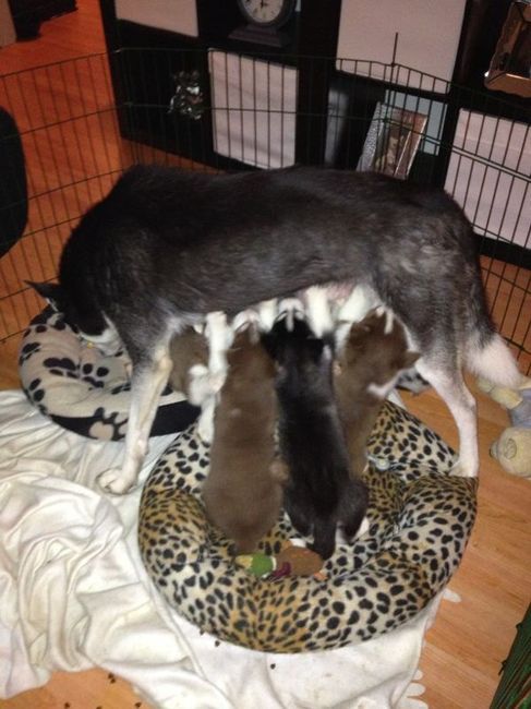 Toen was ik nog heel klein ik ben de rechter.