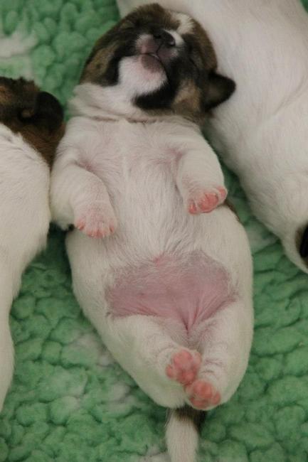 Ons favorietje Orena, als een echte dame de beentje bijelkaar.