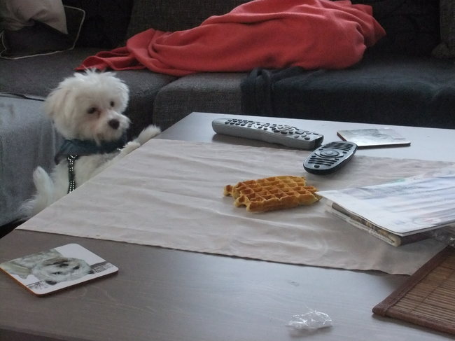 Zou ik aan die wafel kunnen geraken?