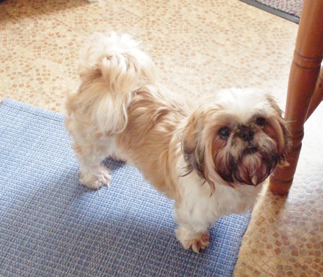 Wat een fotomodel he?