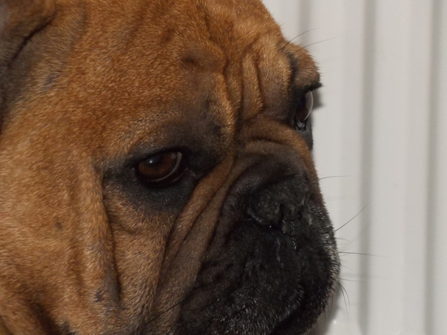 Wat zou er in dat koppie omgaan?