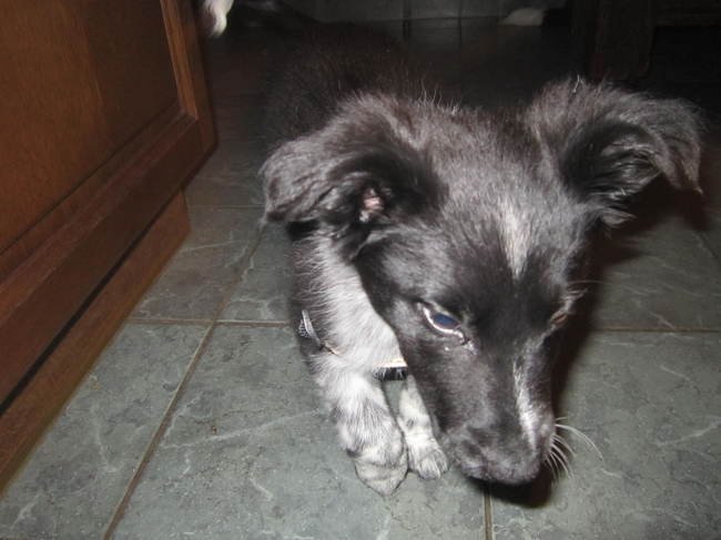 Volop actief bezig :p