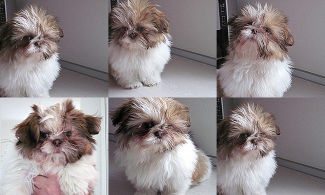 Onze Semmy heel fotogeniek!