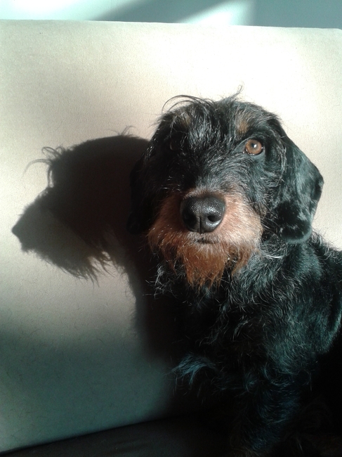 Lekker in 't zonnetje