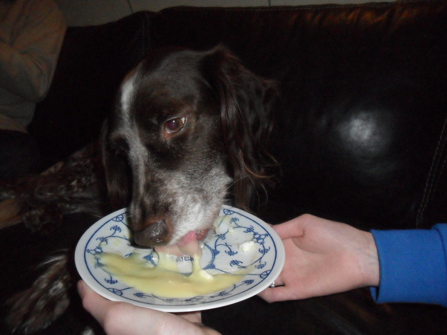 ze is dol op vanillepudding andere pudding.
hoort ze alleen al de verpakking open gaan staat ze al voor me neus en heb ik dus geen pudding meer ^^