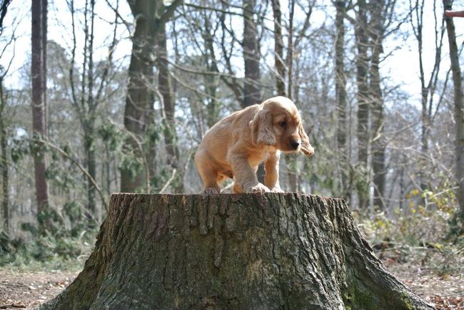 Zou ik, of toch maar niet!!!