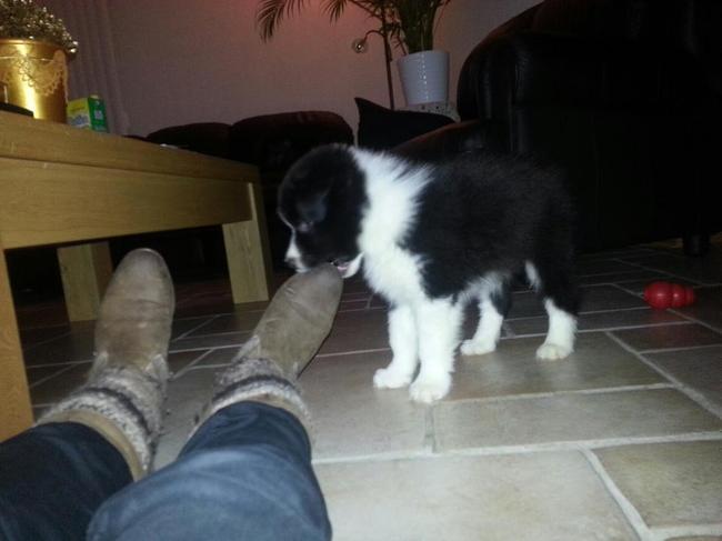 Hmm schoenen!! mijn favoriet